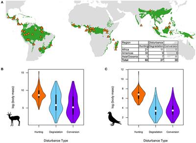 Hunting and Forest Modification Have Distinct Defaunation Impacts on Tropical Mammals and Birds
